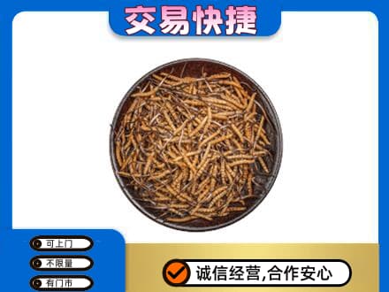 克拉玛依回收散虫草